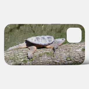 Funda Para iPhone 13 Tortuga Snapping