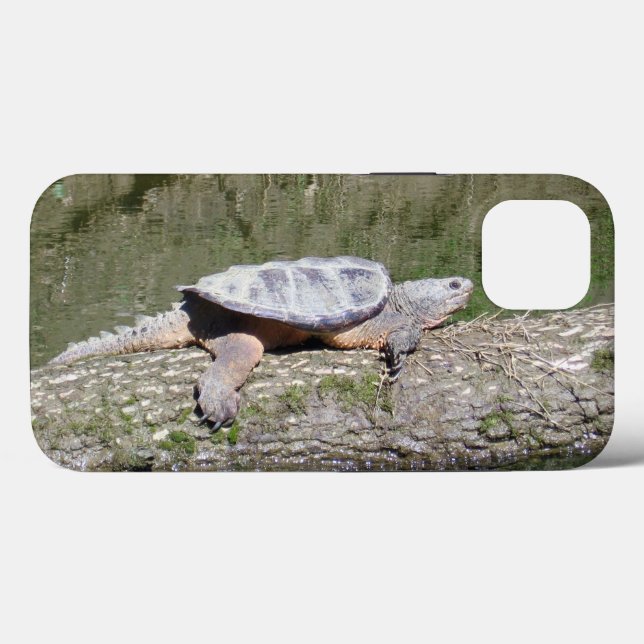 Funda De Case-Mate Para iPhone Tortuga Snapping (Reverso (Horizontal))