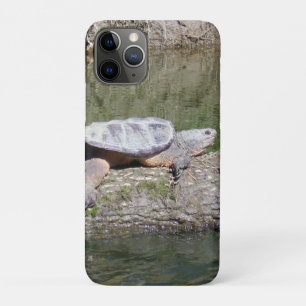 Funda Para iPhone 11 Pro Tortuga Snapping