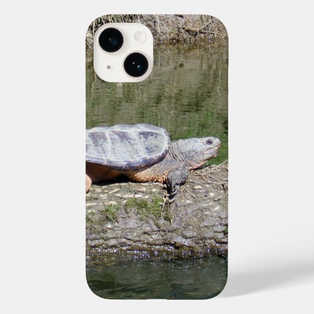 Funda De Case-Mate Para iPhone Tortuga Snapping (Reverso )