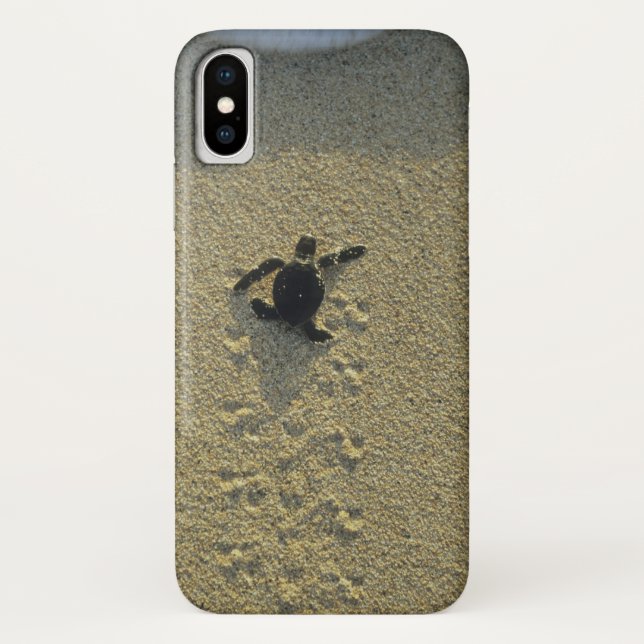 Funda De Case-Mate Para iPhone Tortuga verde, (Chelonia mydas), cría (Reverso)