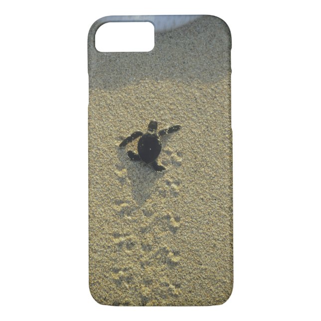 Funda De Case-Mate Para iPhone Tortuga verde (Chelonia mydas), incubadora (Reverso)