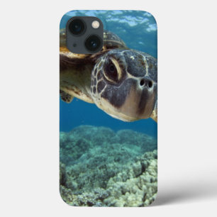 Funda Para iPhone 13 Tortuga verde hawaiana
