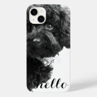 ©Toy Poodle Photography Personalizada