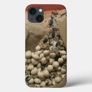 Funda Para iPhone 13 Trama de los huevos de la tortuga del bebé