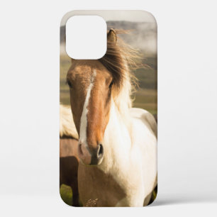 FUNDA PARA iPhone 12 TRES CABALLOS DE COLOR ASORTADO CORRIENDO ALEJADOS