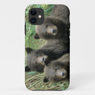 Funda Para iPhone 11 Tres crías de oso grizzly o coys