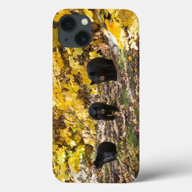 Funda De Case-Mate Para iPhone Tres Osos (Reverso)