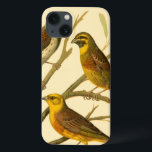 Funda Para iPhone 13 Tres pájaros domésticos encaramados en una sucursa<br><div class="desc">El artista W. Rutledge capturó perfectamente los vivos colores de esas aves domésticas. Obtén esta pintura simple pero bellamente realista. Vista lateral de dos pájaros amarillos y un pájaro más oscuro en una rama y mirando en direcciones diferentes.</div>