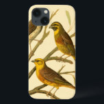 title_seo2 Tres pájaros domésticos encaramados en una sucursa<br><div class="desc">El artista W. Rutledge capturó perfectamente los vivos colores de esas aves domésticas. Obtén esta pintura simple pero bellamente realista. Vista lateral de dos pájaros amarillos y un pájaro más oscuro en una rama y mirando en direcciones diferentes.</div>