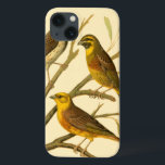 title_seo2 Tres pájaros domésticos encaramados en una sucursa<br><div class="desc">El artista W. Rutledge capturó perfectamente los vivos colores de esas aves domésticas. Obtén esta pintura simple pero bellamente realista. Vista lateral de dos pájaros amarillos y un pájaro más oscuro en una rama y mirando en direcciones diferentes.</div>