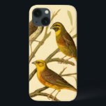 Funda Para iPhone 13 Tres pájaros domésticos encaramados en una sucursa<br><div class="desc">El artista W. Rutledge capturó perfectamente los vivos colores de esas aves domésticas. Obtén esta pintura simple pero bellamente realista. Vista lateral de dos pájaros amarillos y un pájaro más oscuro en una rama y mirando en direcciones diferentes.</div>