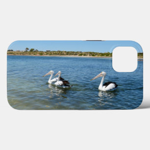 Tres Pelícanos Nadando, Funda para iPhone 13