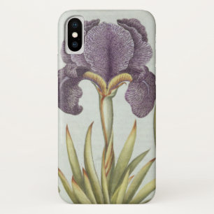 Funda Para iPhone X Tres variedades de iris imberbes de Rhizomatous