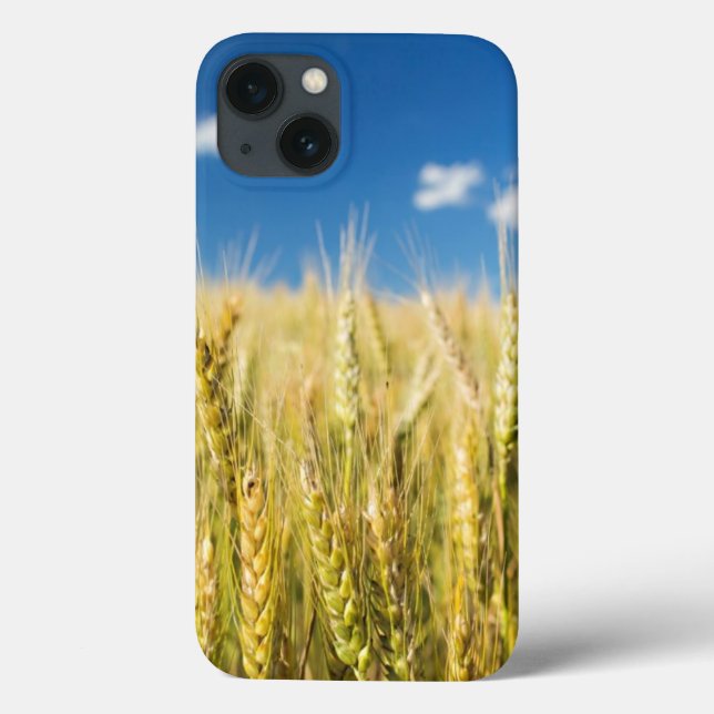 Funda De Case-Mate Para iPhone Trigo de Kansas (Reverso)