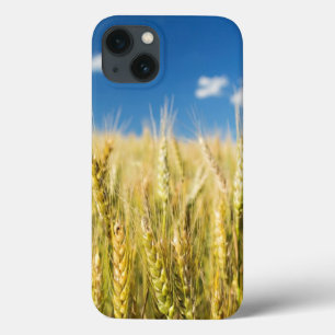 Funda Para iPhone 13 Trigo de Kansas
