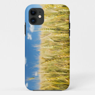 title_seo2 Trigo de Kansas