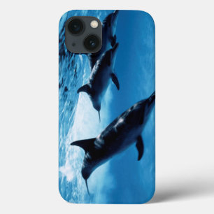 Funda Para iPhone 13 Trío de delfínes