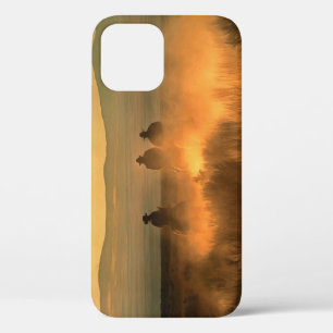 Funda Para iPhone 12 Trío de Vaqueros: Gallop de fondo montañoso.