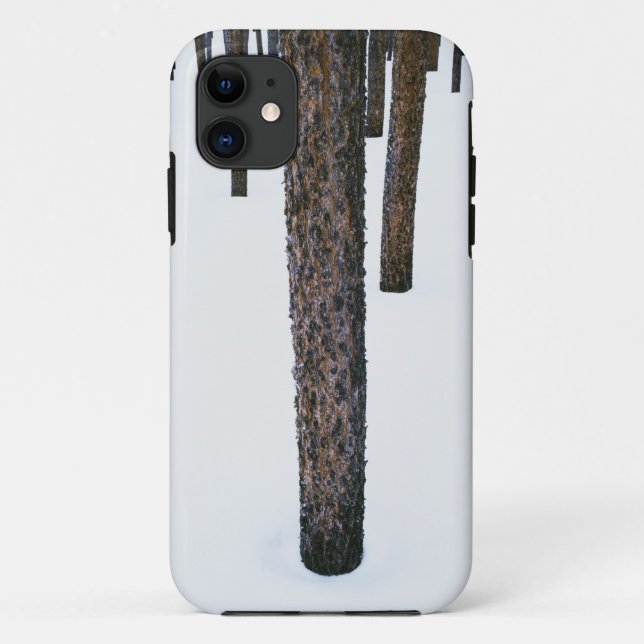 Funda De Case-Mate Para iPhone Troncos de árbol en nieve (Reverso)