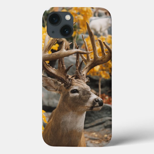 Funda De Case-Mate Para iPhone Trophy Deer (Reverso)