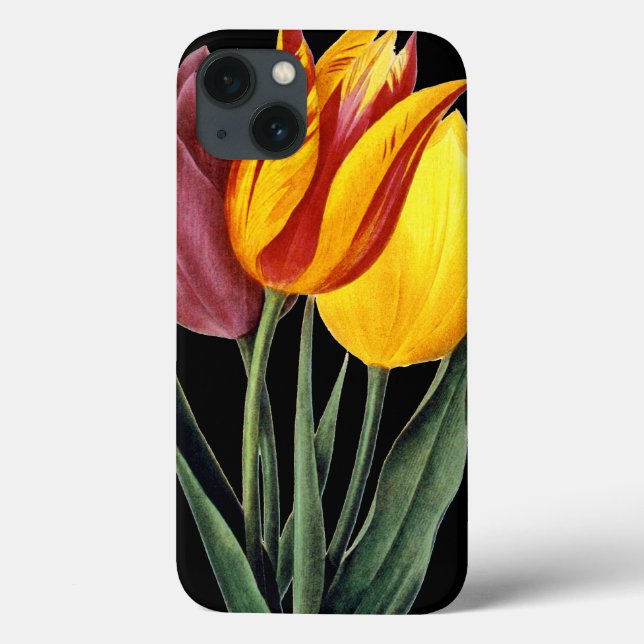 Funda De Case-Mate Para iPhone Tulip (Tulipa Gesneriana) (Reverso)