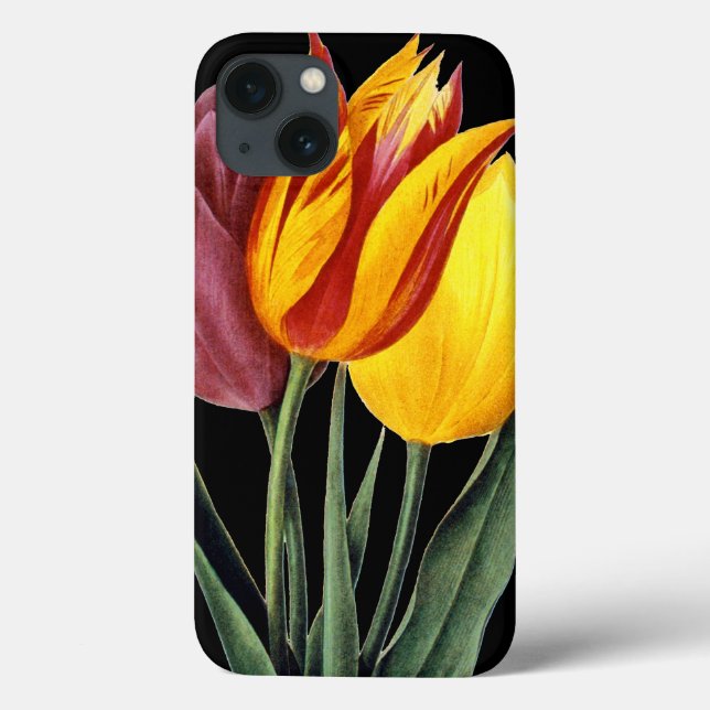 Funda De Case-Mate Para iPhone Tulip (Tulipa Gesneriana) (Reverso)