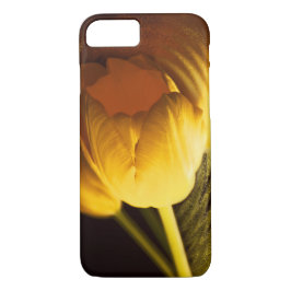 Funda Para iPhone 8/7 Tulipán amarillo romántico