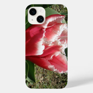 title_seo2 Tulipán blanco rosado