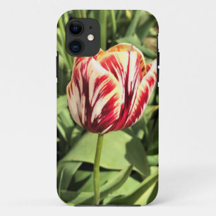 Funda Para iPhone 11 Tulipán rojo y blanco