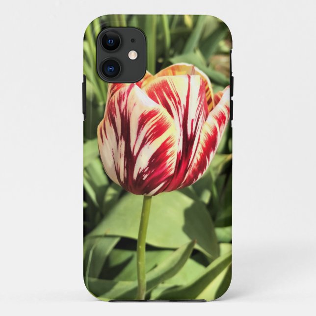 Funda De Case-Mate Para iPhone Tulipán rojo y blanco (Reverso)