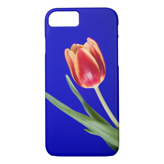Funda De Case-Mate Para iPhone Tulipán sobre fondo azul (Reverso)