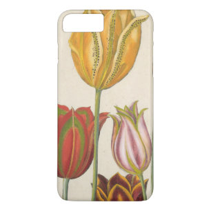 title_seo2 Tulipanes