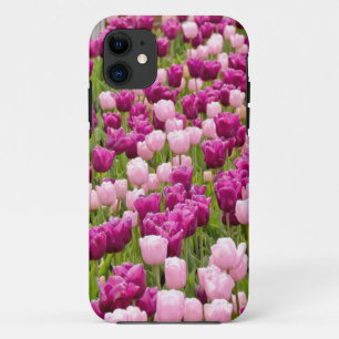 title_seo2 Tulipanes holandeses
