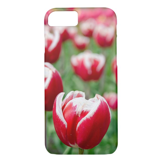 Funda De Case-Mate Para iPhone tulipanes neerlandeses rojos (Reverso)