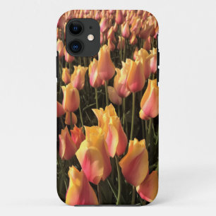 Funda Para iPhone 11 Tulipanes rosa y amarillo bonito