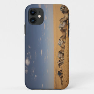 Funda Para iPhone 11 Túnez, zona de Ksour, Ksar Ghilane, Gran Erg 2
