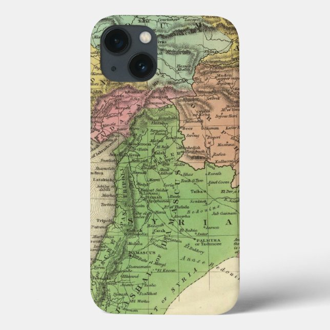 Funda De Case-Mate Para iPhone Turkey In Asia 2 (Reverso)