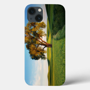 Funda Para iPhone 13 Un árbol solitario rodeado de colinas onduladas de