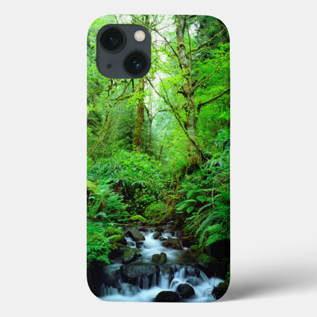 Funda De Case-Mate Para iPhone Un arroyo en un bosque maduro (Reverso)