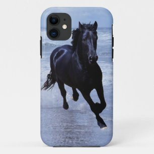 title_seo2 Un caballo salvaje y libre