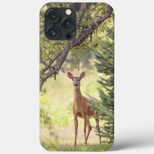 Funda Para iPhone 13 Pro Max Un ciervo solitario