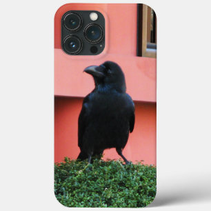 Funda Para iPhone 13 Pro Max Un Círculo De Jungla De Gran Montura Una Percha En