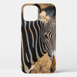 FUNDA PARA iPhone 12 UN CURIOSO ZEBRA EN LA RESERVA NACIONAL DE SAMBURU