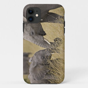 Funda Para iPhone 11 Un elefante africano pastoreando en los campos