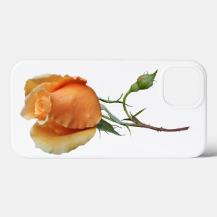 Funda Para iPhone 13 Un esqueje de rosa único      