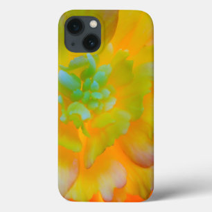 Funda Para iPhone 13 Un florecimiento de begonia iluminado