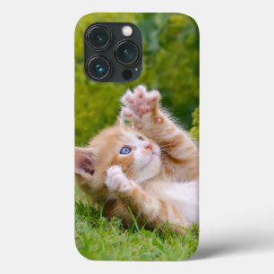 Funda Para iPhone 13 Pro Un gatito de gatito lindo y divertido jugando en u