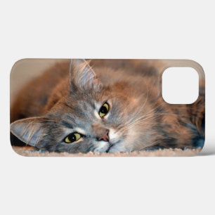 Funda Para iPhone 13 Un gato azul ruso muy haitiano por Shirley Taylor