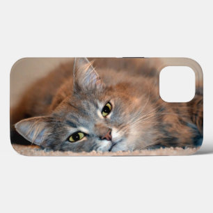Funda Para iPhone 13 Un gato azul ruso muy haitiano por Shirley Taylor